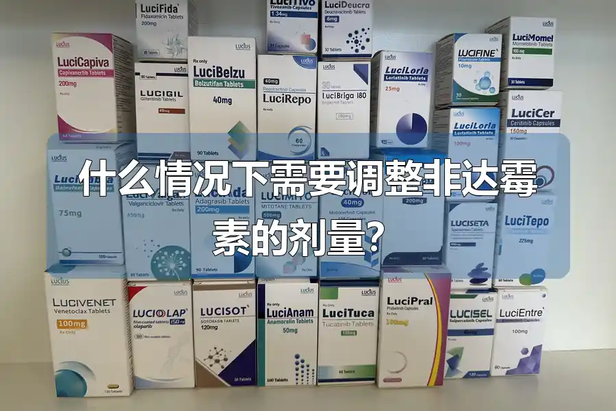 什么情况下需要调整非达霉素的剂量？